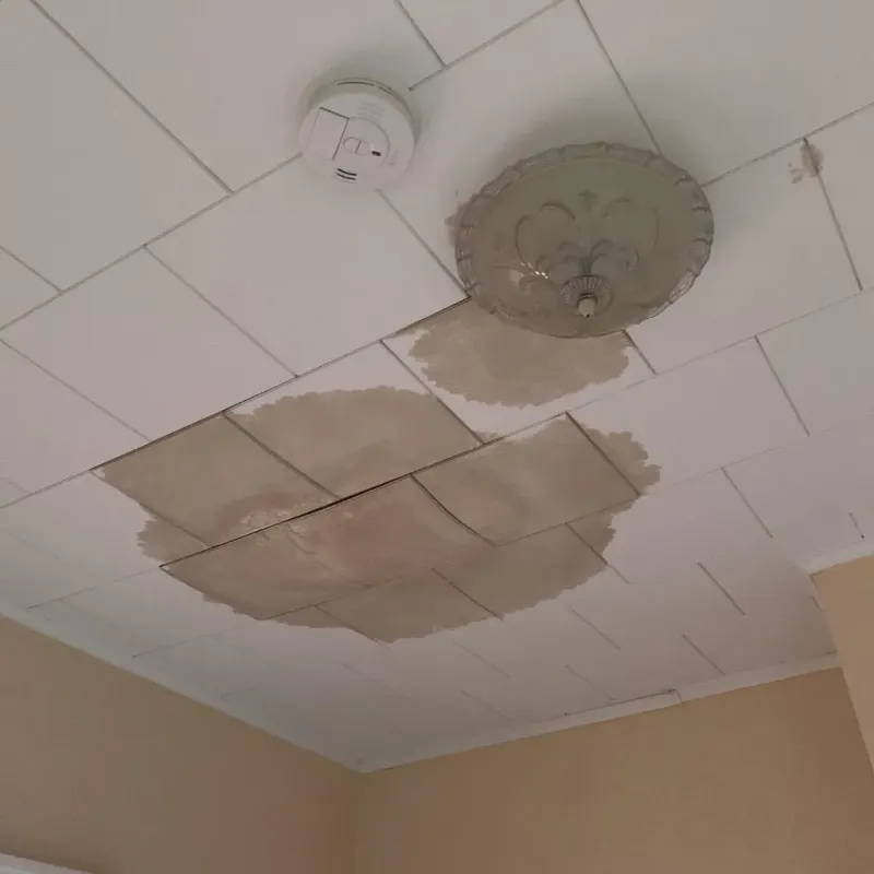 Ceiling Water Damage Repair in Windham County, CT
