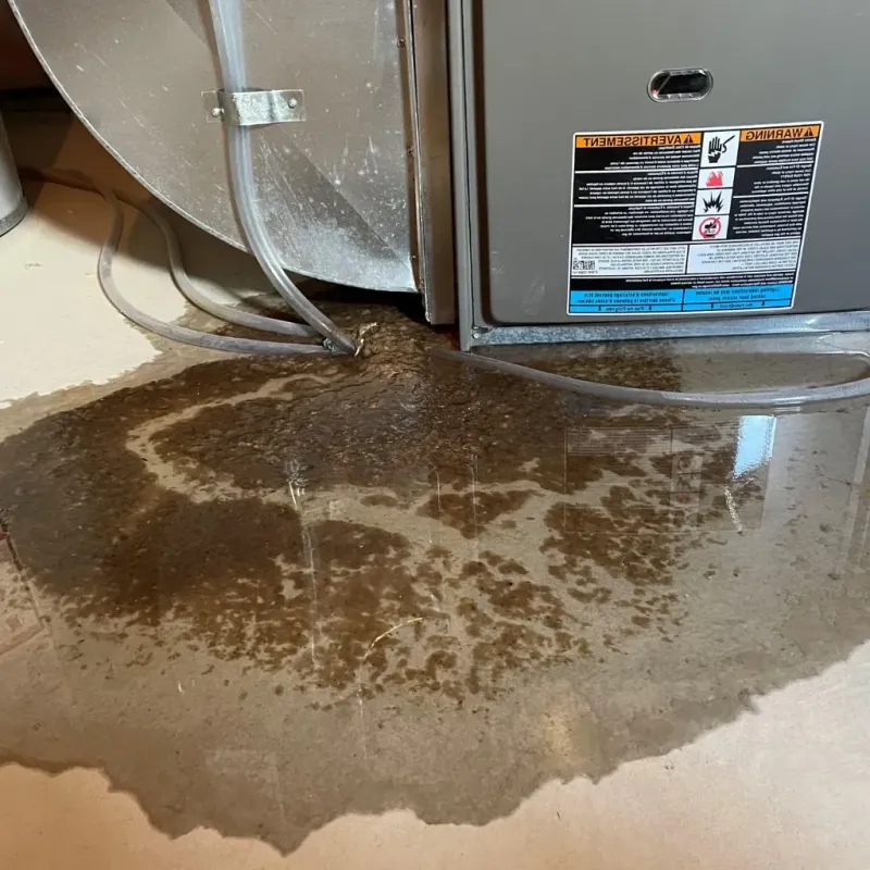 Pipe Burst and Leak Restoration in Windham County, CT