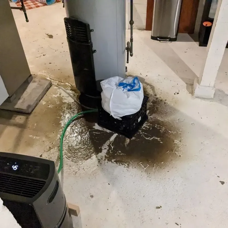 Sewage Backup Cleanup Service in Windham County, CT